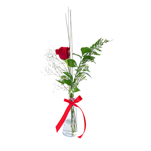 Single Rose