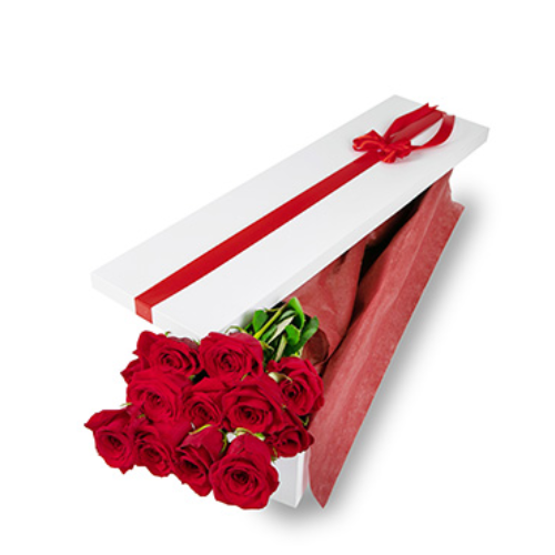 12 Long Stem Roses Presentation Box