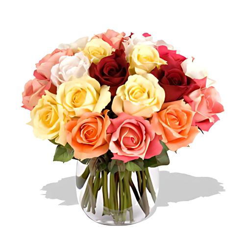 2 Dozen Assorted Roses