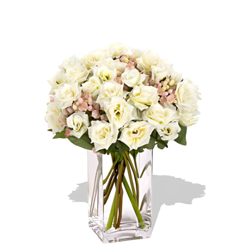 Creamy White Spray Roses