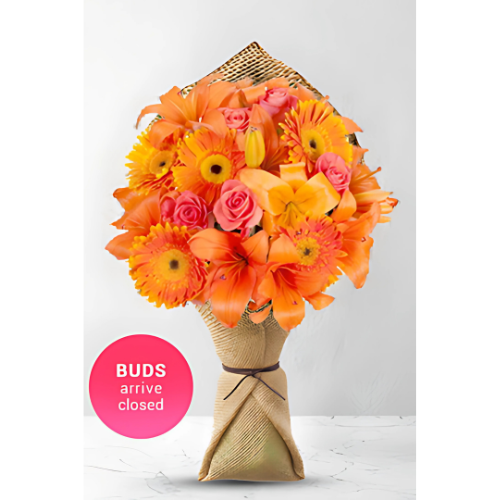In Bloom
