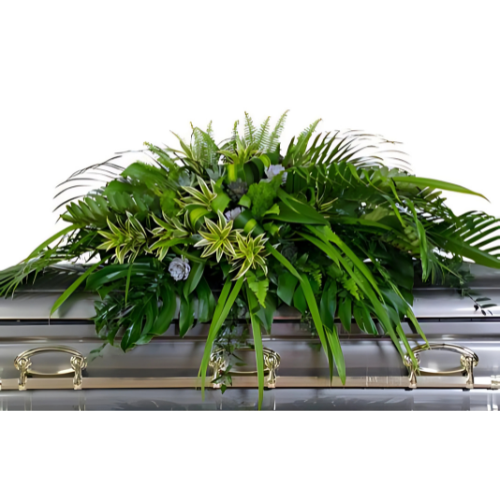 Natural Wonder Casket