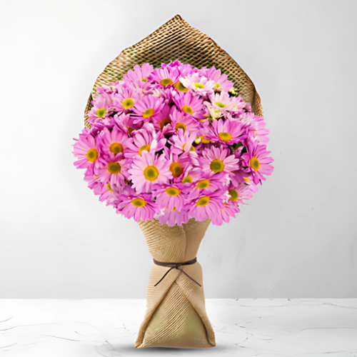 Pink Surprise