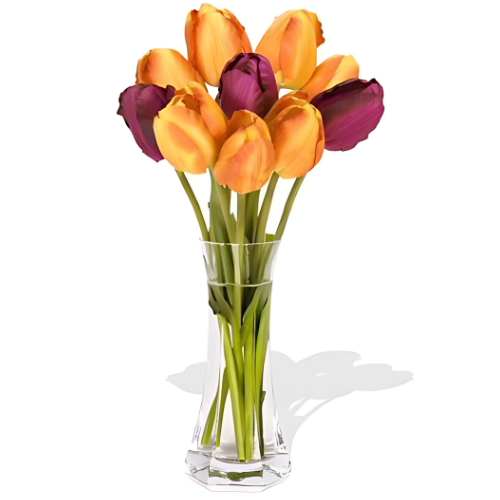 Playful Tulips