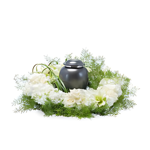 Serenity Surround