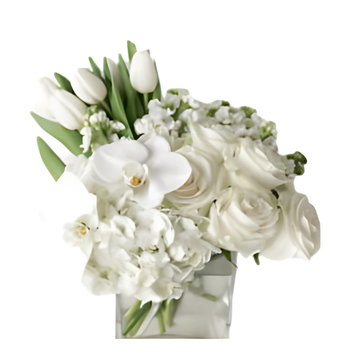 The White Garden