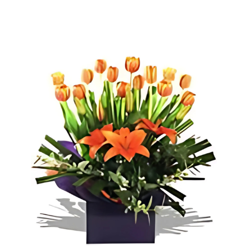 Timely Tulips