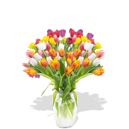 Tulips Galore